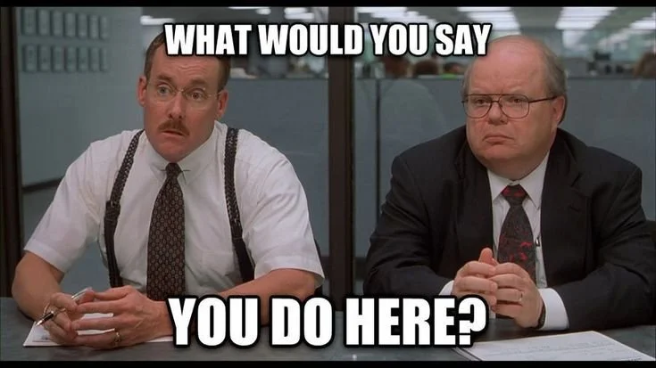 What would you say you do here meme